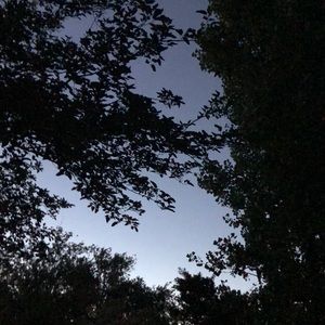 Meet your Posher, Carolyn